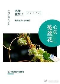心尖菟絲花