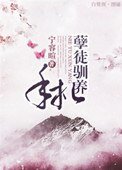 孽徒馴養手札
