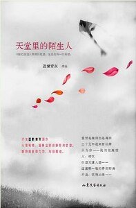 天堂裡的陌生人(出書版)