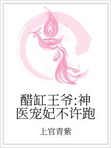 醋缸王爺:神醫寵妃不許跑