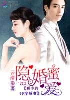 隱婚蜜愛:顧少的99度嬌妻