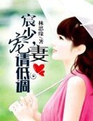 宸少,寵妻請低調