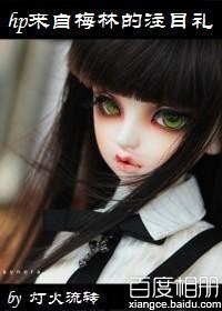 (HP同人)hp來自梅林的注目禮