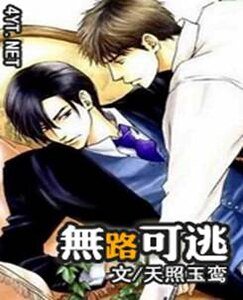 《灰暗岁月(无路可逃)》