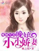 晚婚早愛：晚好，小小嬌妻