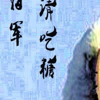 (歷史同人)將軍,請吃糖
