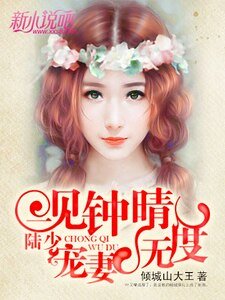 一見鍾晴:陸少,寵妻無度