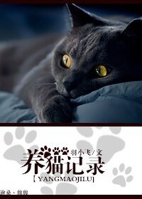 養貓記錄