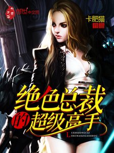 女總裁超級高手葉無道