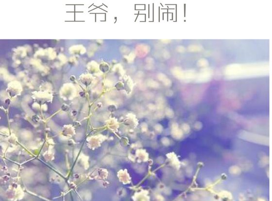 王爺 ,別鬧!