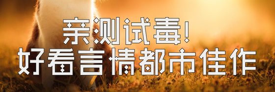 親測試毒！好看言情都市佳作