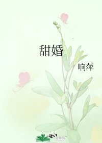 甜婚