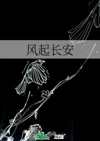 風起長安