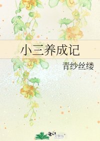 《小三养成记》