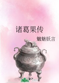 《诸葛果传》
