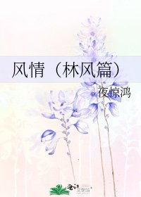 風情(林風篇)