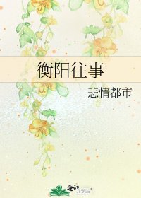 《衡阳往事》