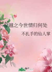 穿越之今世情歸何處