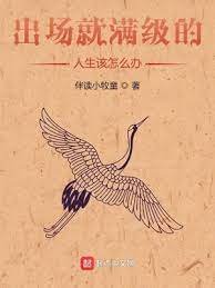 《出场就满级的人生该怎么办》