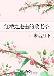 紅樓之進擊的政老爺
