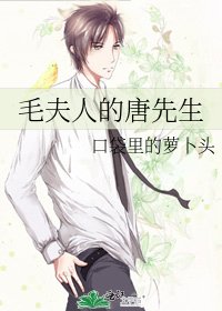 毛夫人的唐先生