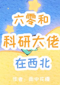 六零和科研大佬在西北