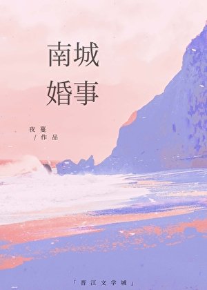 《南城婚事》