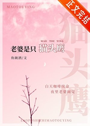 傲嬌老婆是隻貓頭鷹