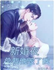 新婚夜,總裁他毀了我