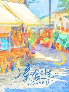 湊合過