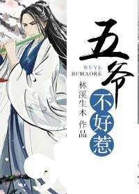 五爺不好惹(嫁給清代鑽石男)